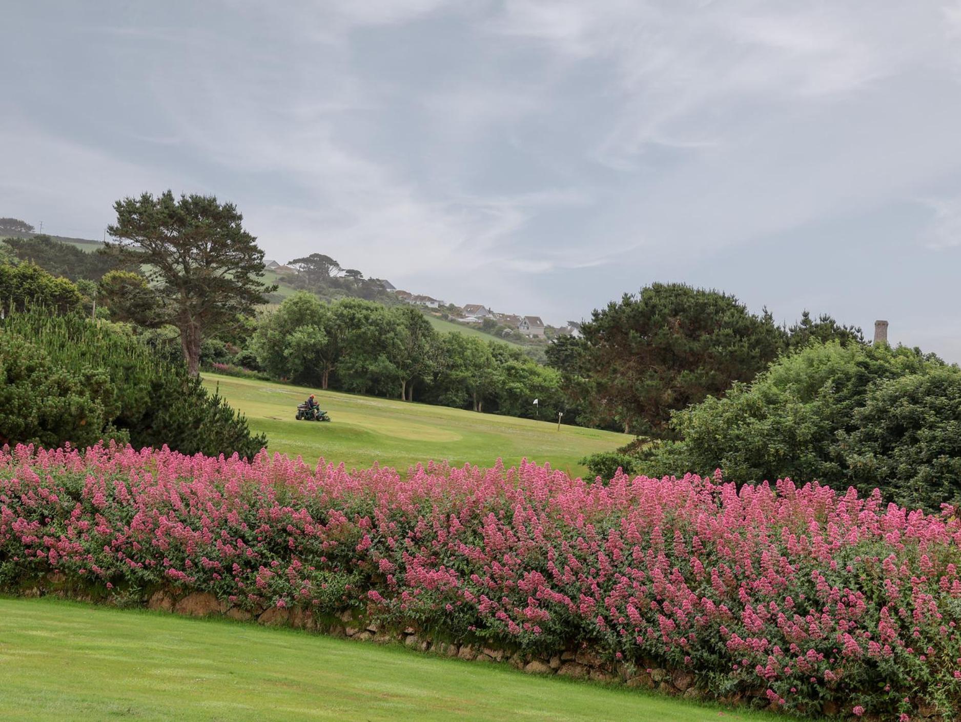 Greenside
